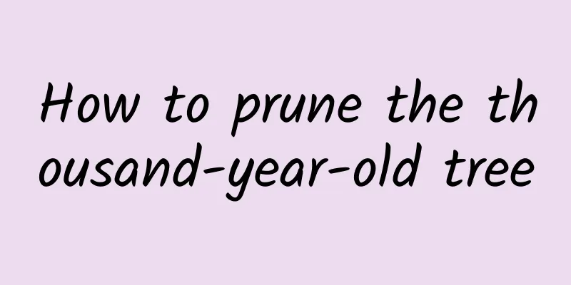 How to prune the thousand-year-old tree