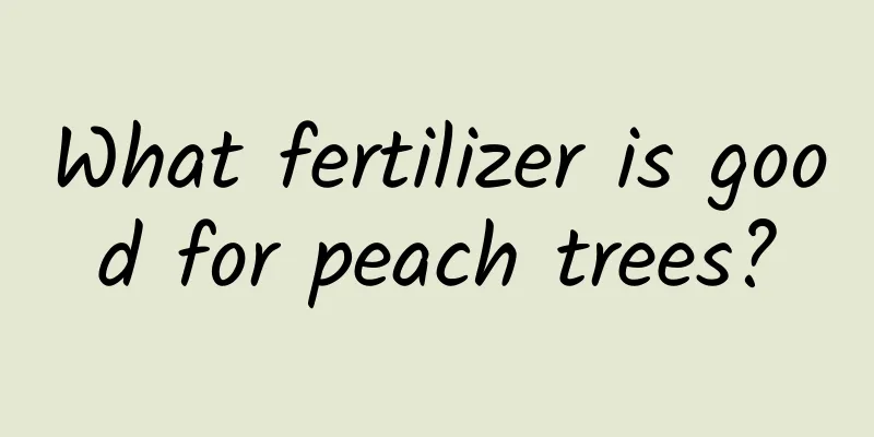 What fertilizer is good for peach trees?