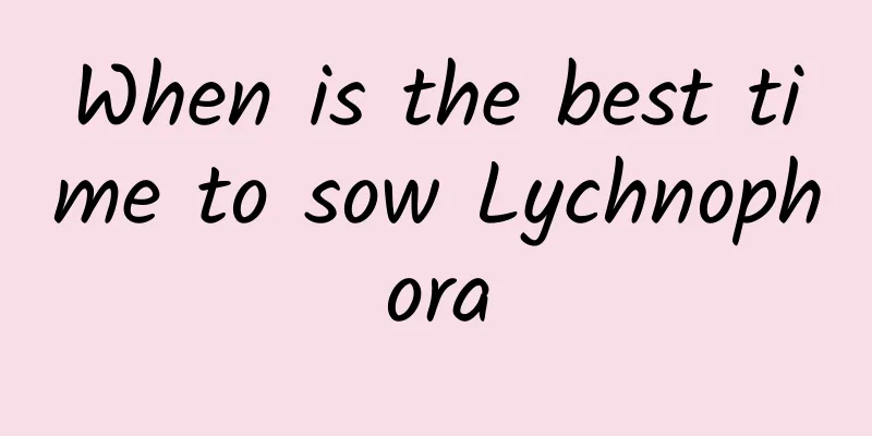 When is the best time to sow Lychnophora