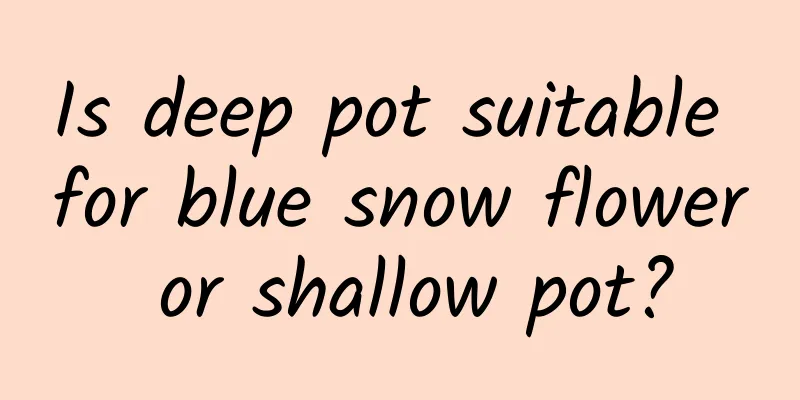 Is deep pot suitable for blue snow flower or shallow pot?