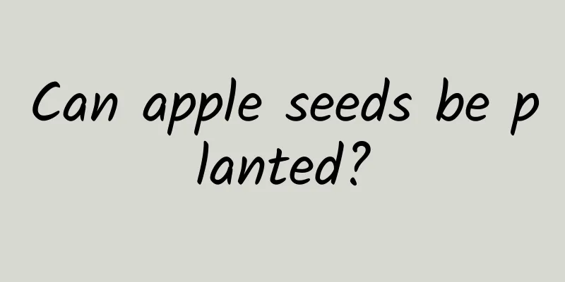 Can apple seeds be planted?