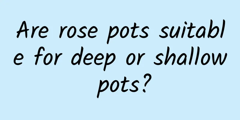 Are rose pots suitable for deep or shallow pots?