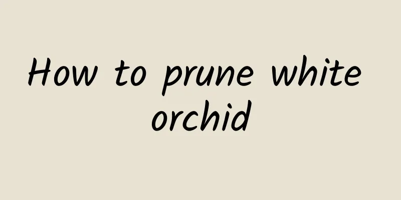 How to prune white orchid