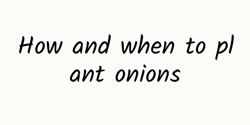 How and when to plant onions