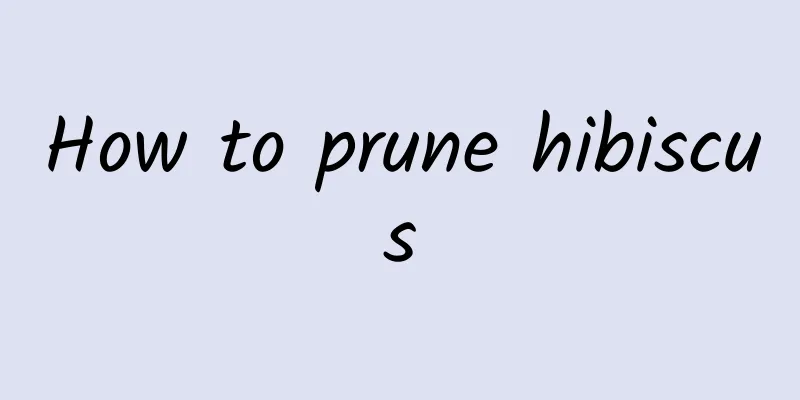 How to prune hibiscus