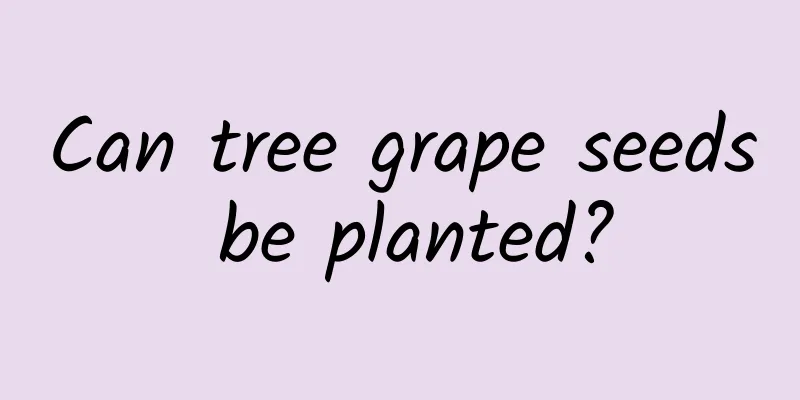 Can tree grape seeds be planted?