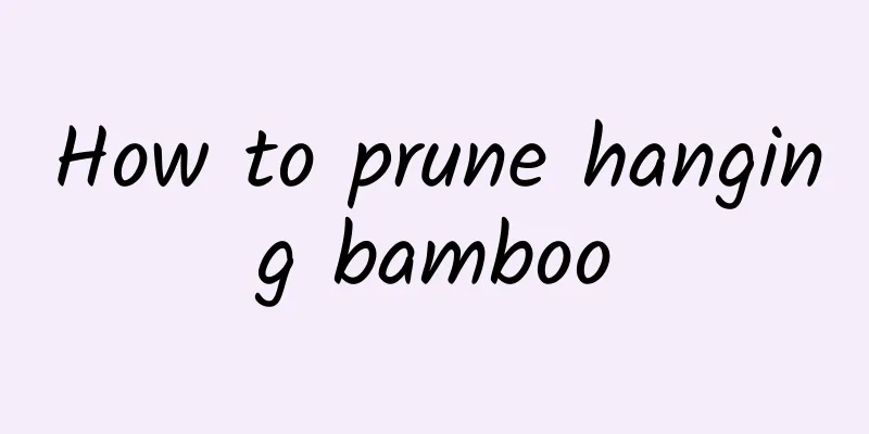 How to prune hanging bamboo