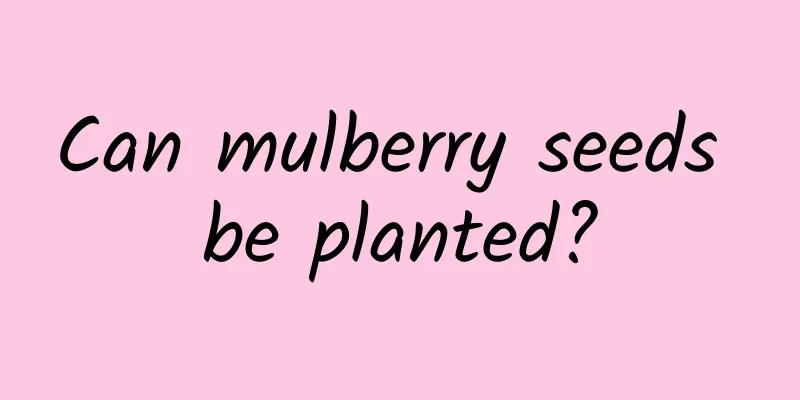 Can mulberry seeds be planted?