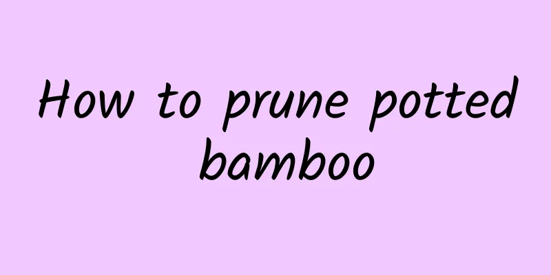 How to prune potted bamboo