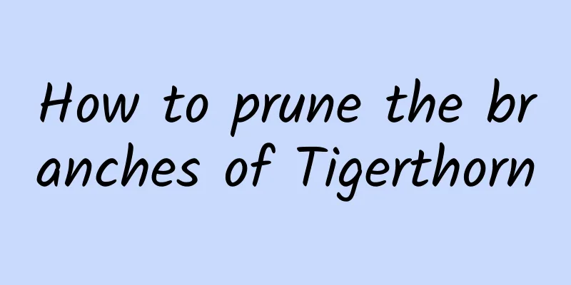 How to prune the branches of Tigerthorn