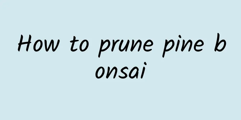 How to prune pine bonsai