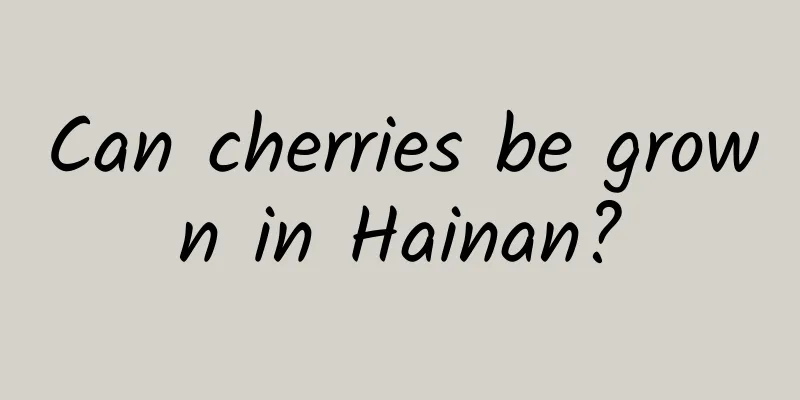 Can cherries be grown in Hainan?