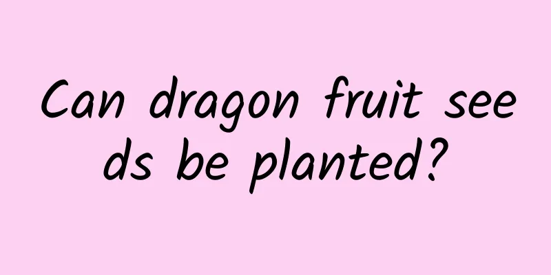 Can dragon fruit seeds be planted?