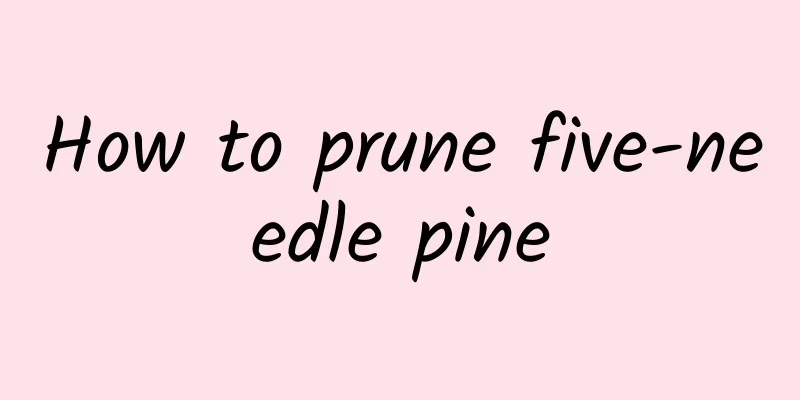 How to prune five-needle pine
