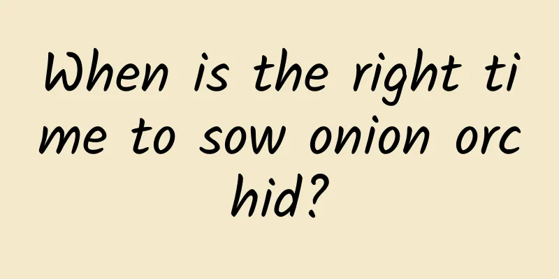 When is the right time to sow onion orchid?