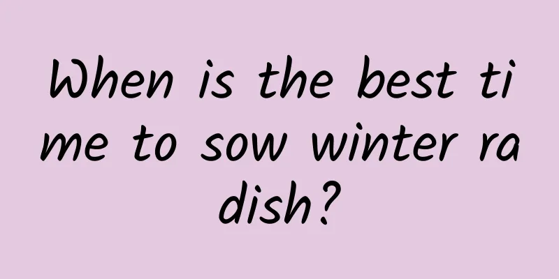 When is the best time to sow winter radish?