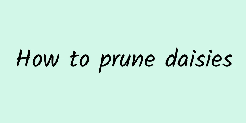 How to prune daisies