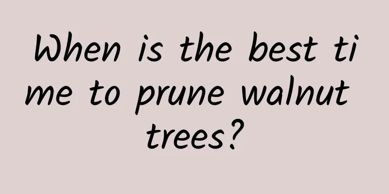 When is the best time to prune walnut trees?