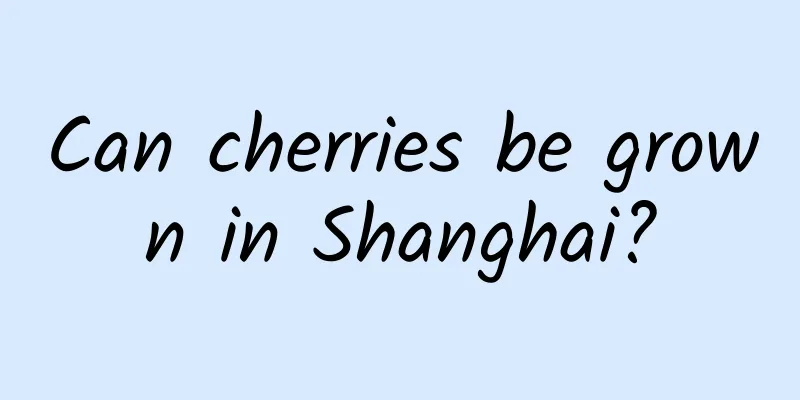 Can cherries be grown in Shanghai?
