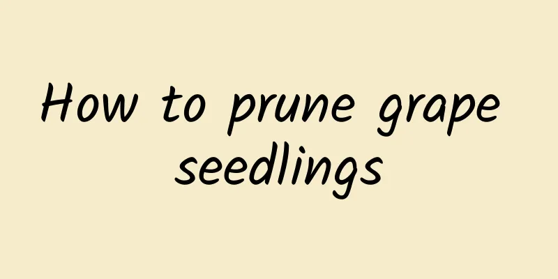 How to prune grape seedlings