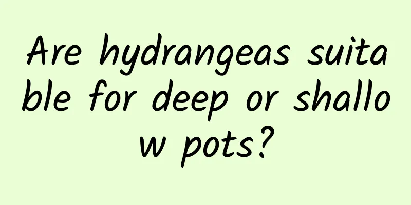 Are hydrangeas suitable for deep or shallow pots?