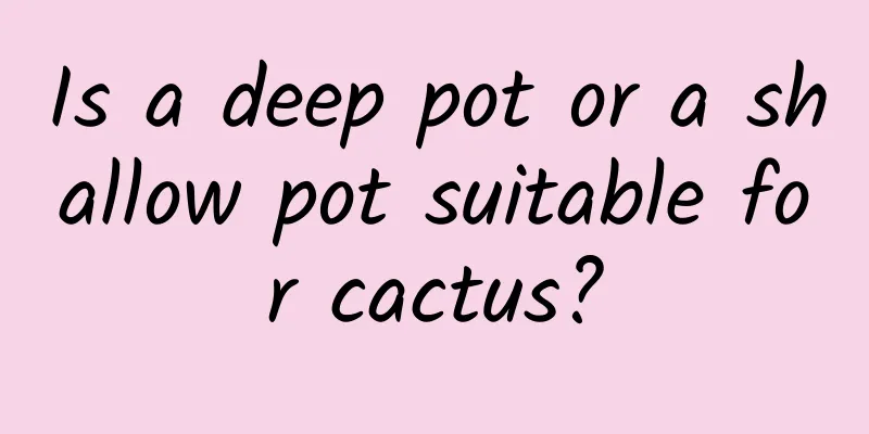 Is a deep pot or a shallow pot suitable for cactus?
