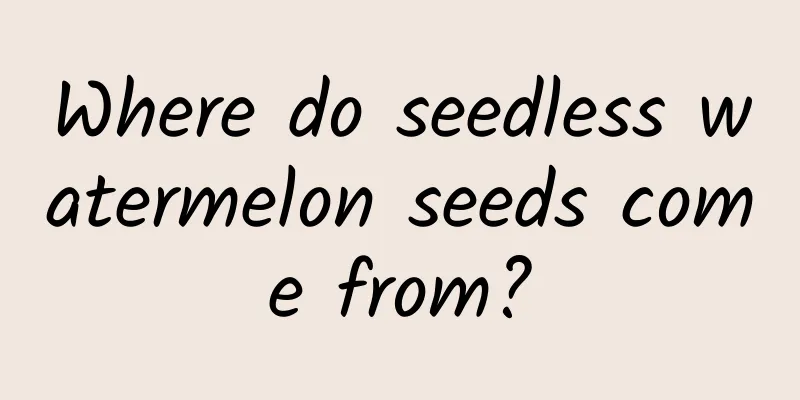 Where do seedless watermelon seeds come from?