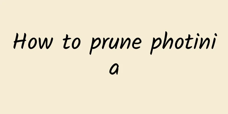 How to prune photinia
