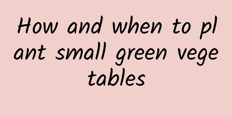 How and when to plant small green vegetables