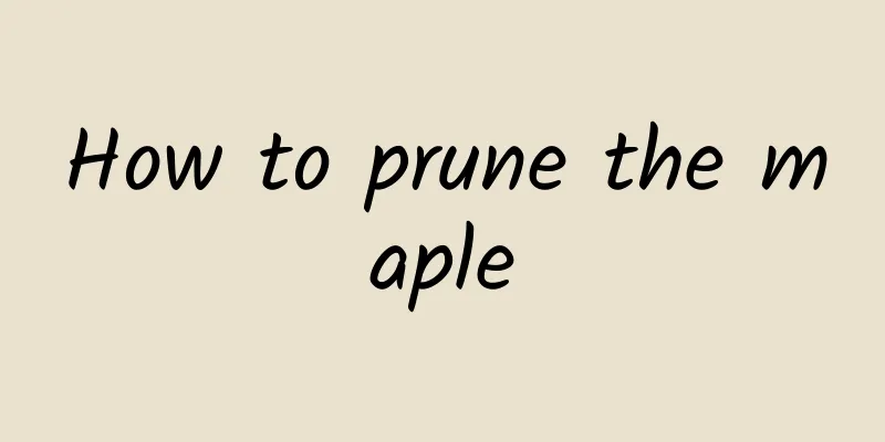 How to prune the maple