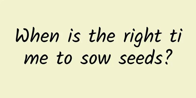 When is the right time to sow seeds?