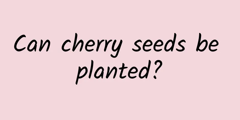 Can cherry seeds be planted?
