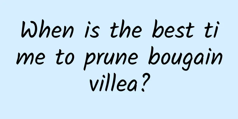 When is the best time to prune bougainvillea?