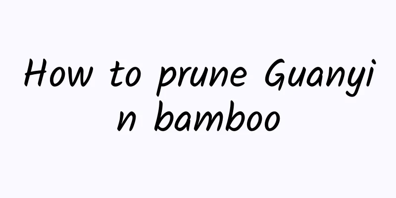 How to prune Guanyin bamboo