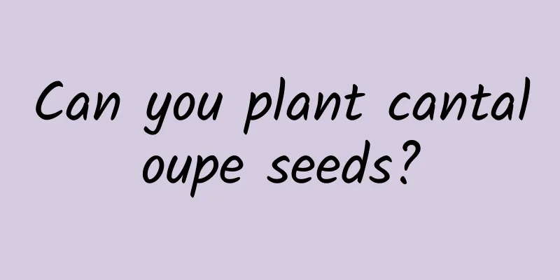 Can you plant cantaloupe seeds?