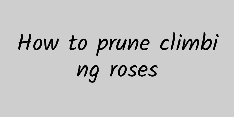 How to prune climbing roses