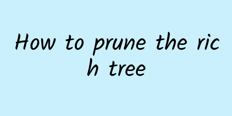 How to prune the rich tree