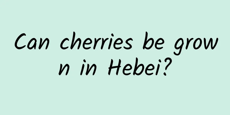 Can cherries be grown in Hebei?