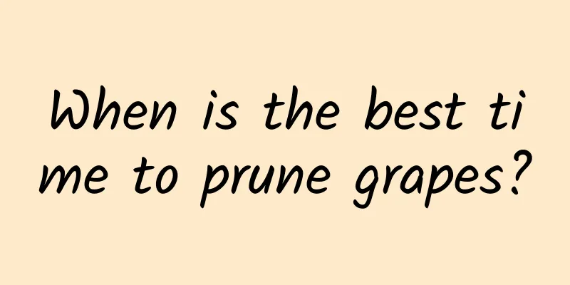 When is the best time to prune grapes?