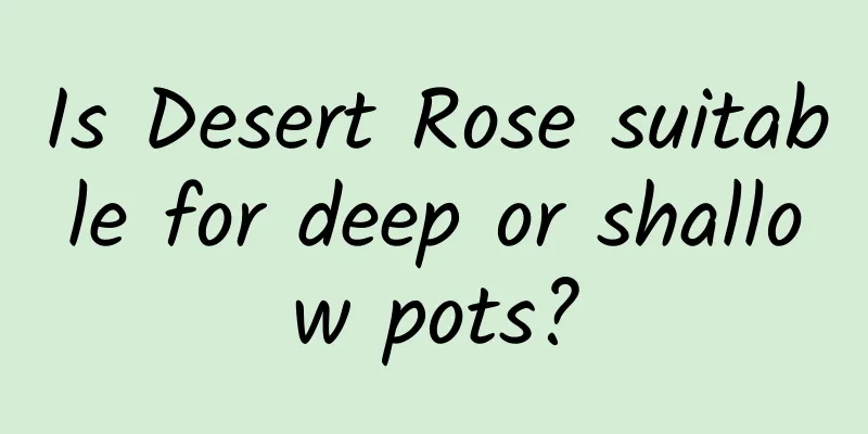 Is Desert Rose suitable for deep or shallow pots?