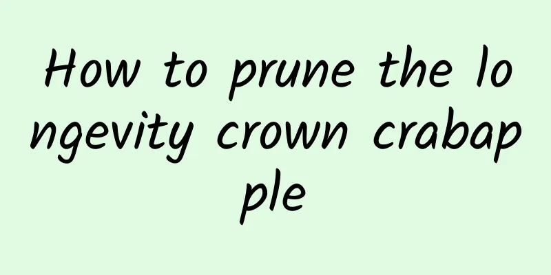 How to prune the longevity crown crabapple