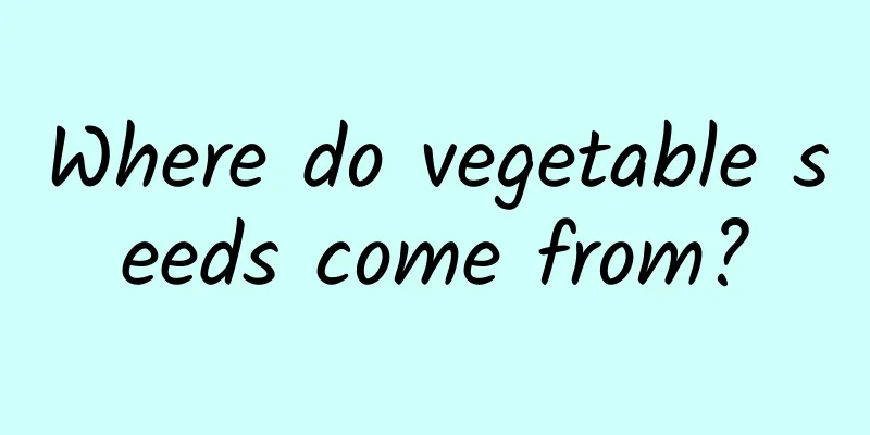 Where do vegetable seeds come from?