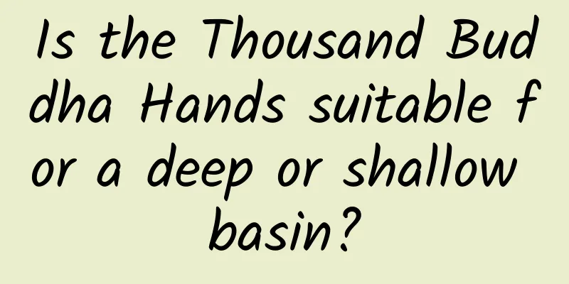 Is the Thousand Buddha Hands suitable for a deep or shallow basin?