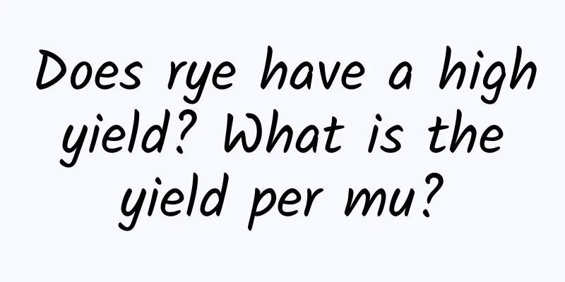 Does rye have a high yield? What is the yield per mu?