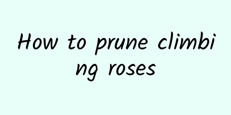 How to prune climbing roses