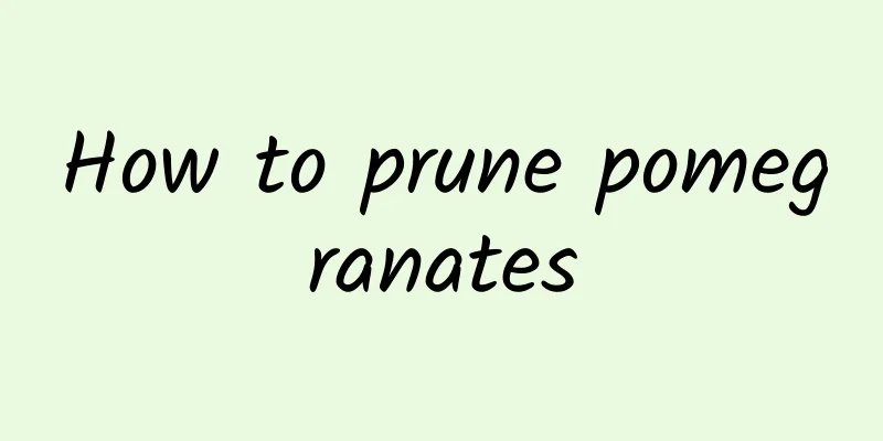 How to prune pomegranates