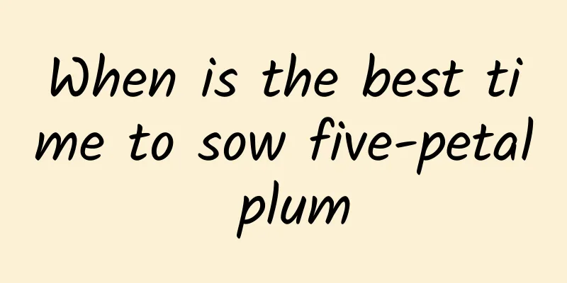When is the best time to sow five-petal plum
