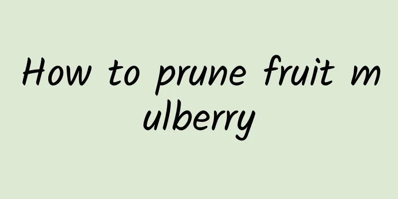 How to prune fruit mulberry