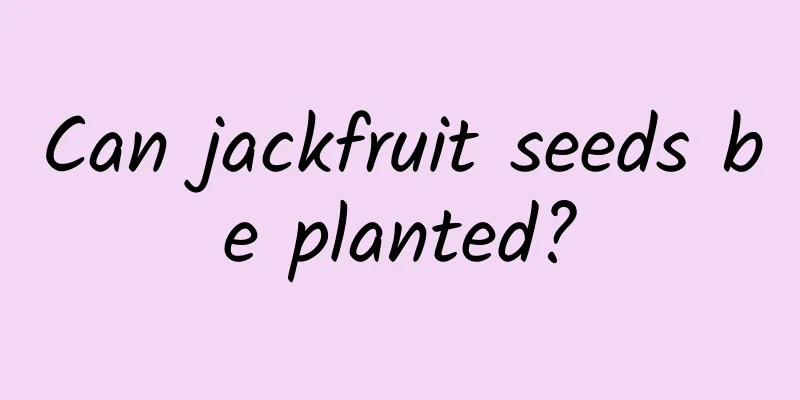 Can jackfruit seeds be planted?