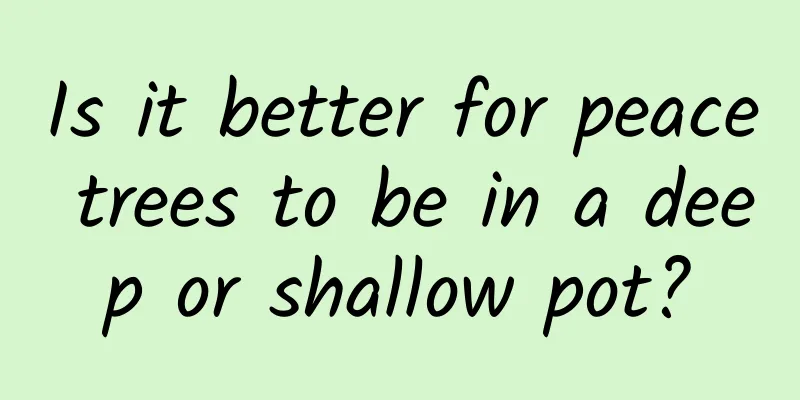 Is it better for peace trees to be in a deep or shallow pot?